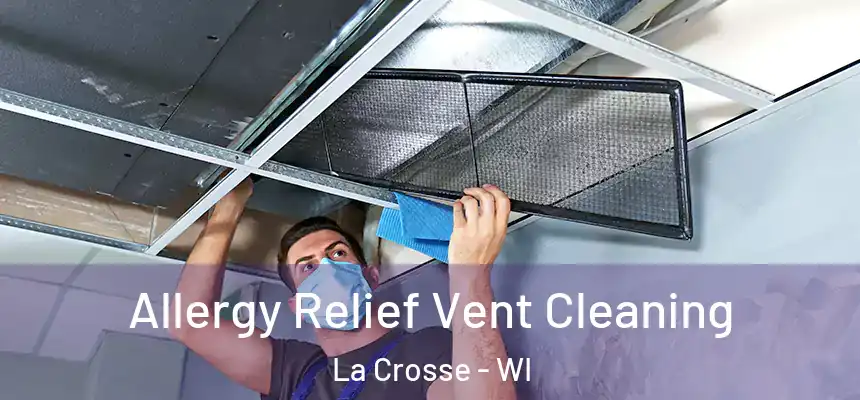 Allergy Relief Vent Cleaning La Crosse - WI