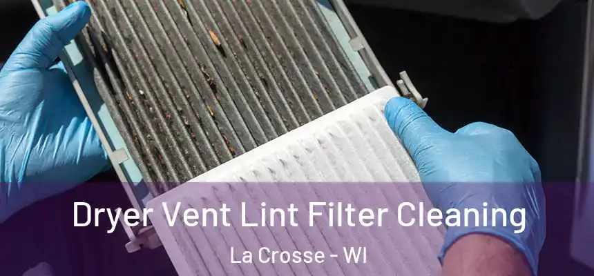  Dryer Vent Lint Filter Cleaning La Crosse - WI