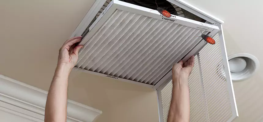 Preventive Cockroach-Proofing for Ducts in La Crosse