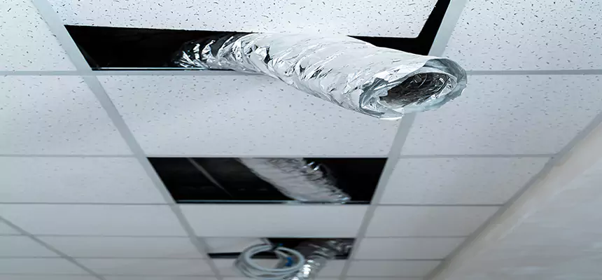 Our Air Duct Pet Hair Removal Services in La Crosse, WI