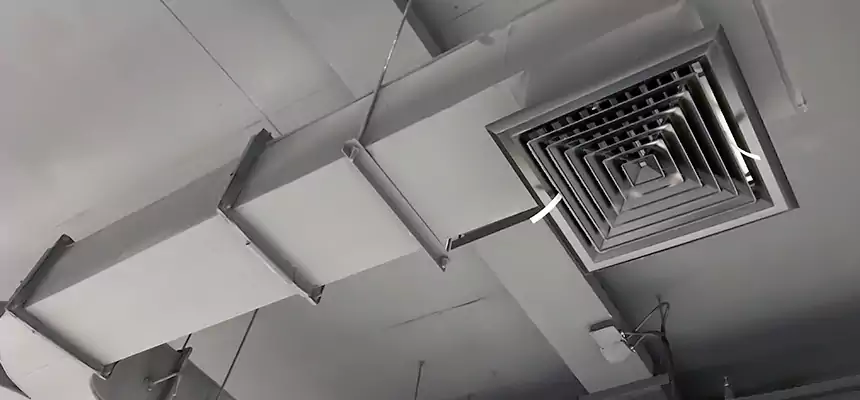 Restorative Allergy Relief Vent Cleaning – Coil, Blower & Housing Detail in La Crosse