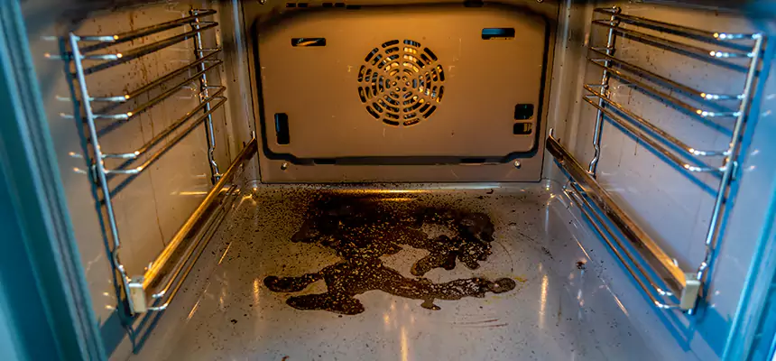 Our Dryer Vent Mold Cleaning Services in La Crosse, WI