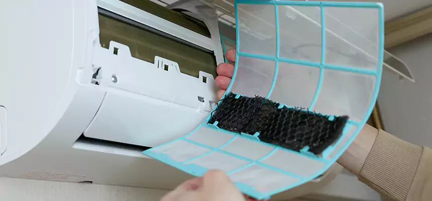 Gentle Ductwork Odor-Control Pet Dander Duct Cleaning in La Crosse, WI