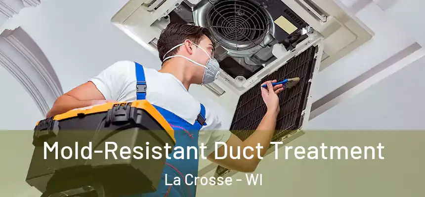  Mold-Resistant Duct Treatment La Crosse - WI