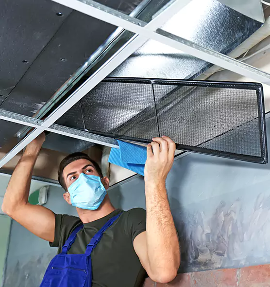 About Air Duct Bacteria Removal in La Crosse