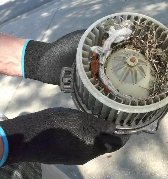 About Air Duct Rat Removal in La Crosse, WI