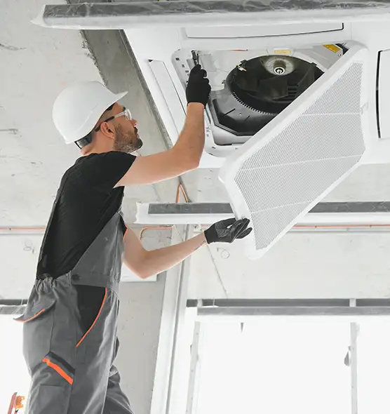 About Air Duct Rodent Removal in La Crosse, WI