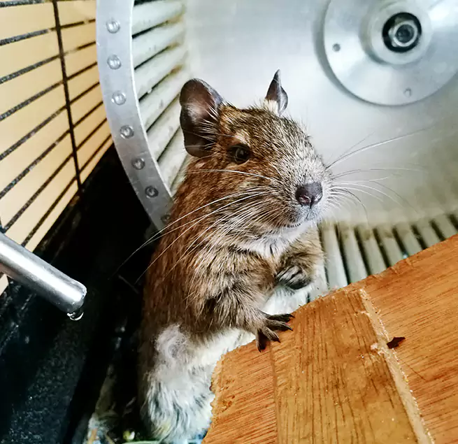 Why Homeowners & Businesses Trust Us La Crosse, WI