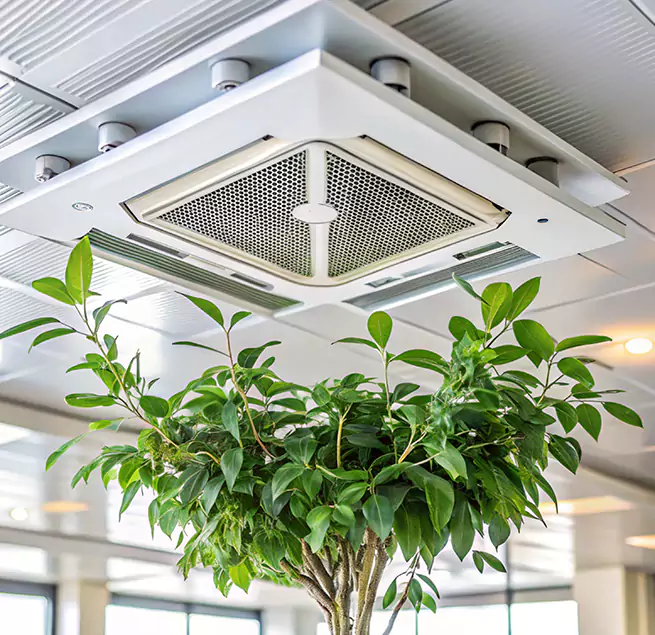 Why Homeowners & Businesses Trust Us in La Crosse, WI?